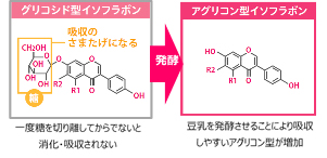 グリコシド型イソフラボン アグリコン型イソフラボン