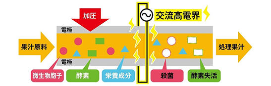 【図】交流高電界殺菌技術のメカニズム