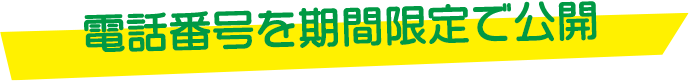 電話番号を期間限定で公開