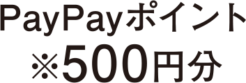 PayPayポイント　※500円分