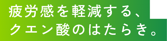 疲労感を軽減する、クエン酸のはたらき。