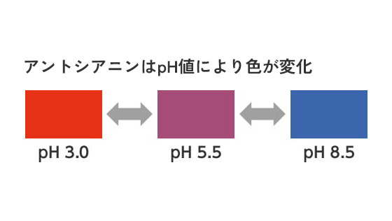 アントシアニンはpH値により色が変化イメージ