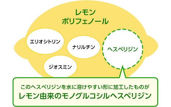 レモンの機能研究