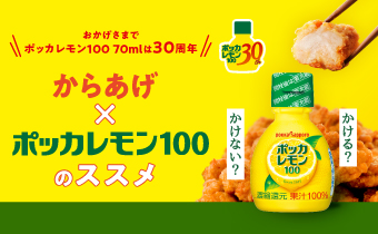 からあげ×ポッカレモン100のススメ