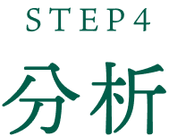 STEP4 分析