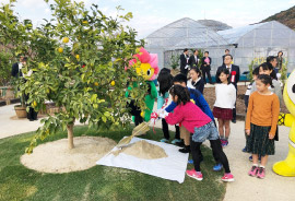 シンボルツリーの植樹体験