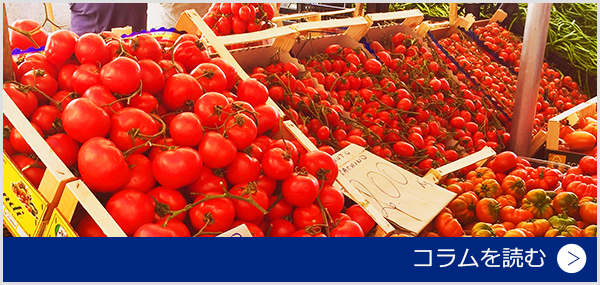 夏は保存食作り！色とりどりの夏野菜が収穫できます！